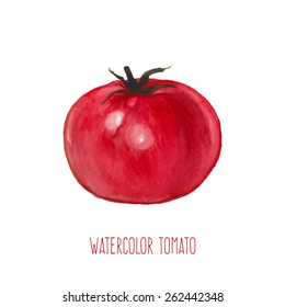 Watercolor isolated tomato. Artistic diet food illustration in vector