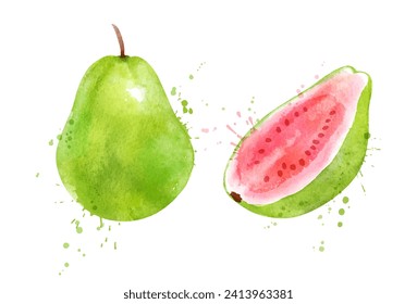 Wasserfarbe einzeln Vektorgrafik von Pink Guava Frucht ganz und Scheiben. Mit Farbspritzen.