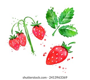 Watercolor isolated vector illustration of wild strawberries, leaf and brunch with paint smudges and splashes
