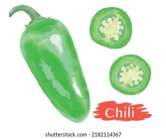 Watercolor Jalapeno Pepper. Vector Illustration.	