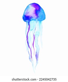  Watercolor jellyfish in abstract style on white background. Exotic print. 