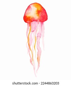 Watercolor jellyfish vector in abstract style on white background. Exotic print. 