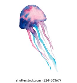 Watercolor jellyfish vector in abstract style on white background. Exotic print. 