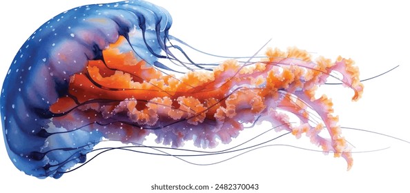 Watercolor jellyfish vector in abstract style on white background. Exotic print.