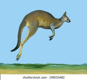 Watercolor kangaroo on blue background vector