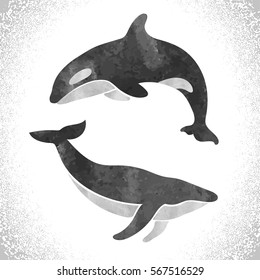 Watercolor killer whale and fin whale isolated on white. Vector set. 