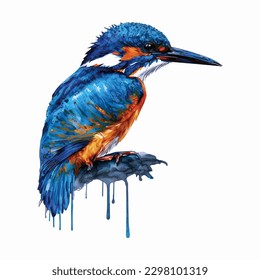 
Pájaro acuarela Kingfisher Aislado en fondo blanco, pescador de canoas pintado en la técnica de acuarela 

