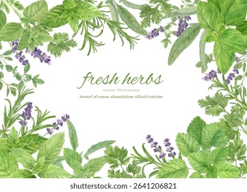 Watercolor kitchen herb leaves cartoon set