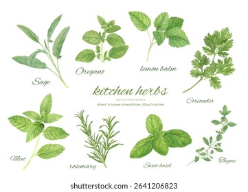 Watercolor kitchen herb leaves cartoon set