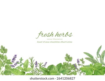 Watercolor kitchen herb leaves cartoon set