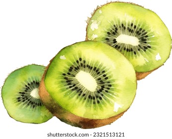 Ilustración Kiwi de acuarela. Un elemento de diseño de la comida fresca a mano aislado en un fondo blanco.