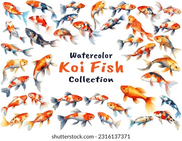 Acuarela Colección de peces Koi. Colección de peces dibujada a mano aislados en un fondo blanco