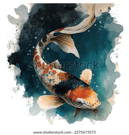 Watercolor koi fish, isolated in white background.