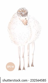 watercolor lamb, sign of new year 2015, painting animal