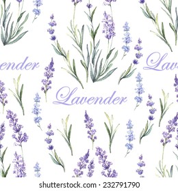 Watercolor lavender botanical pattern. Hand painting. Watercolor. Vector illustration. Seamless pattern for fabric, paper and other printing and web projects.