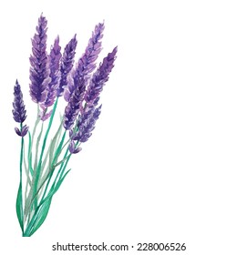 Lavender Plant Images, Stock Photos & Vectors | Shutterstock