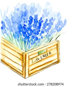 Watercolor lavender in box, vector