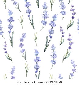 Watercolor lavender pattern. Hand painting. Watercolor. Vector illustration. Seamless pattern for fabric, paper and other printing and web projects.