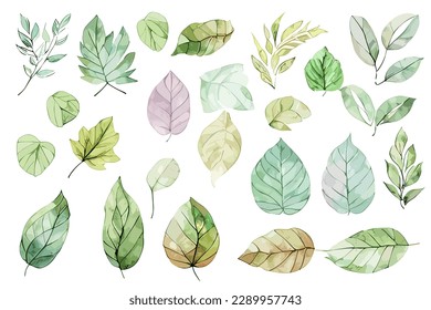Hoja de color para cualquier propósito, incluyendo afiche, invitación a la boda y muchos más