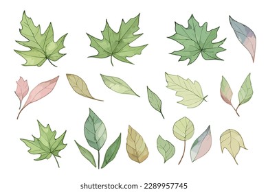 Watercolor Leaf for Any Purpose, including poster, wedding invittation, and many more