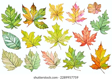 Watercolor Leaf for Any Purpose, including poster, wedding invittation, and many more