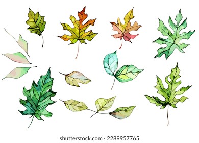 Watercolor Leaf for Any Purpose, including poster, wedding invittation, and many more