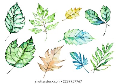 Watercolor Leaf for Any Purpose, including poster, wedding invittation, and many more