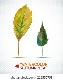 Watercolor leaf element for your design. Hand drawn watercolor illustration. 
