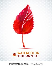 Watercolor leaf element for your design. Hand drawn watercolor illustration. 