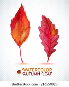 Watercolor leaf element for your design. Hand drawn watercolor illustration. 