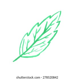 Watercolor leaf illustration. Vector 