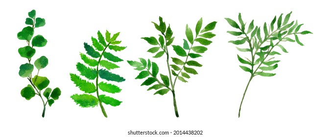 watercolor leaf separated vector set