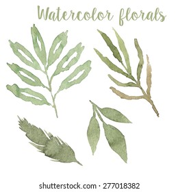 Watercolor leafs in vector