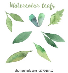 Watercolor leafs in vector