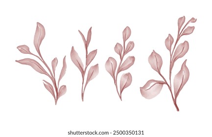 Watercolor leaves brunch floral design collection.