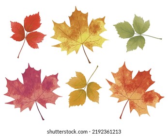 Watercolor leaves collection. Autumn watercolor leaves and isolated on white background. Leaf fall elements for Thanksgiving, and autumnal holidays design elements