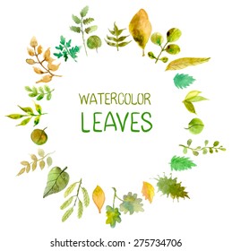 Watercolor leaves collection for different design, Vector