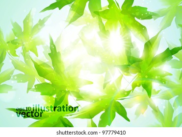 ?olorful watercolor leaves. Environment leaf background, season poster eps10