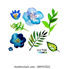Watercolor leaves and flowers set. Vector