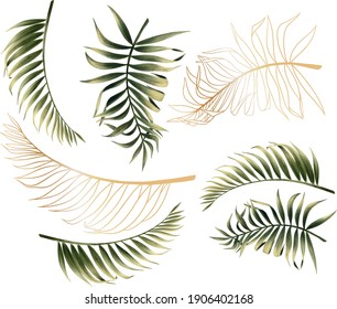 Watercolor leaves of a palm tree. Palm tree.