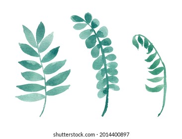 watercolor leaves separated vector set