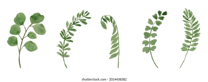 watercolor leaves separated vector set