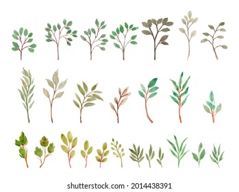 watercolor leaves separated vector set