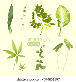 watercolor leaves vector