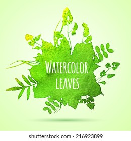 watercolor leaves vector background