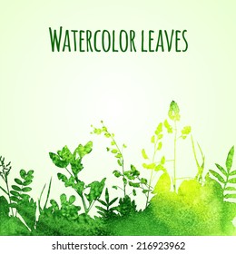 watercolor leaves vector background
