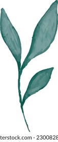 watercolor leaves, vector, design, illustration, graphic