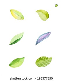 Watercolor Leaves Vector Edition