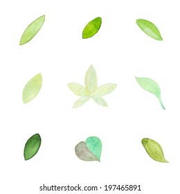 watercolor leaves vector edition