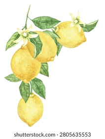 Watercolor lemon corner with ripe lemons, blossoms and green leaves. Hand painted Mediterranean botanical illustration for wedding invitations, menus, recipe cards, food packaging and labels.